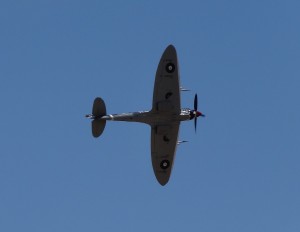 Temora Aviation Museum's Spitfire Mk VIII showing off its distinctive wing planform